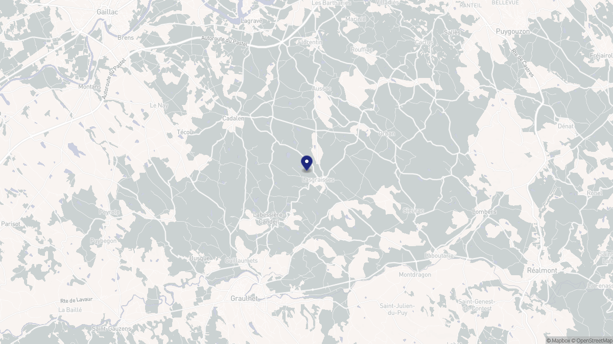 Aperçu cartographique de Lasgraisses, centré sur la commune