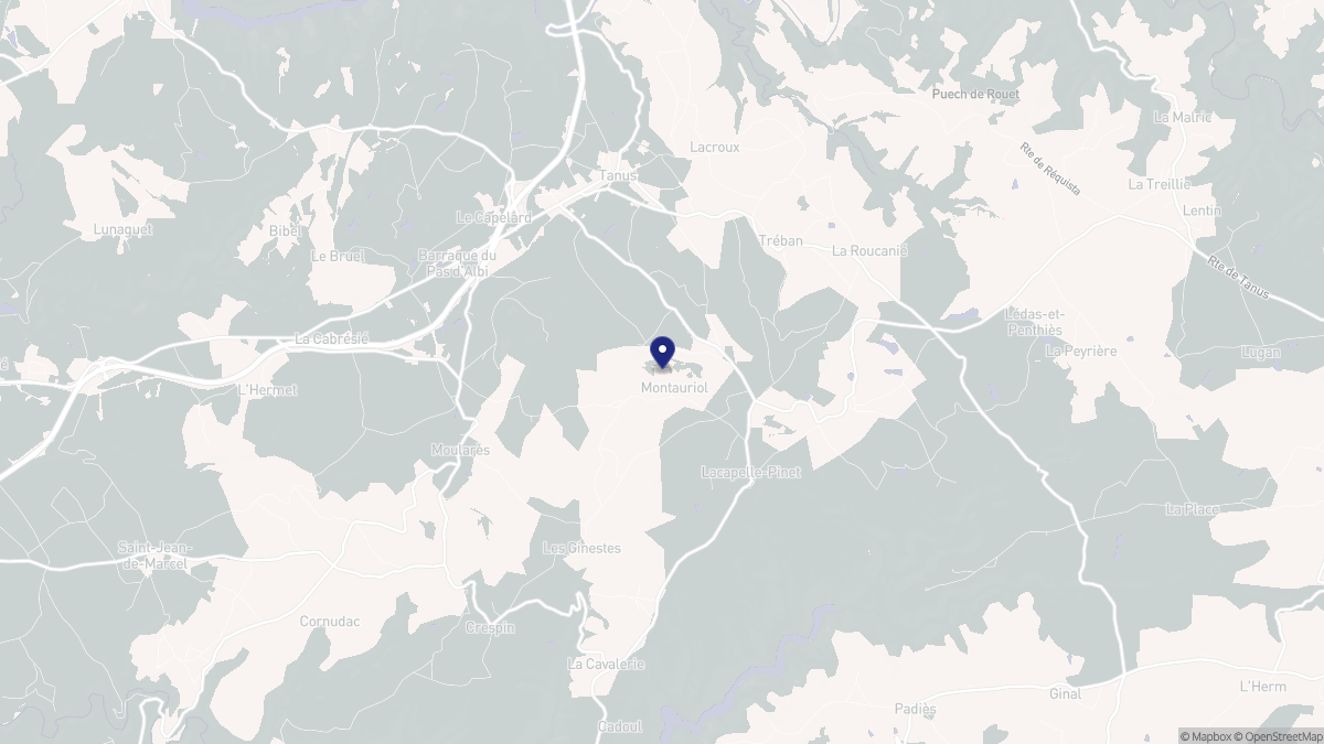 Aperçu cartographique de Montauriol, centré sur la commune