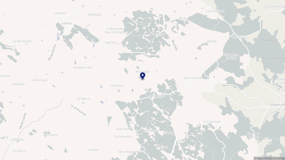 Aperçu cartographique de Montpinier, centré sur la commune