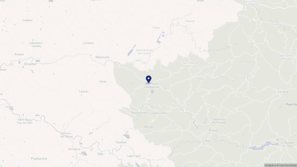 Aperçu cartographique de Montredon-Labessonnié, centré sur la commune
