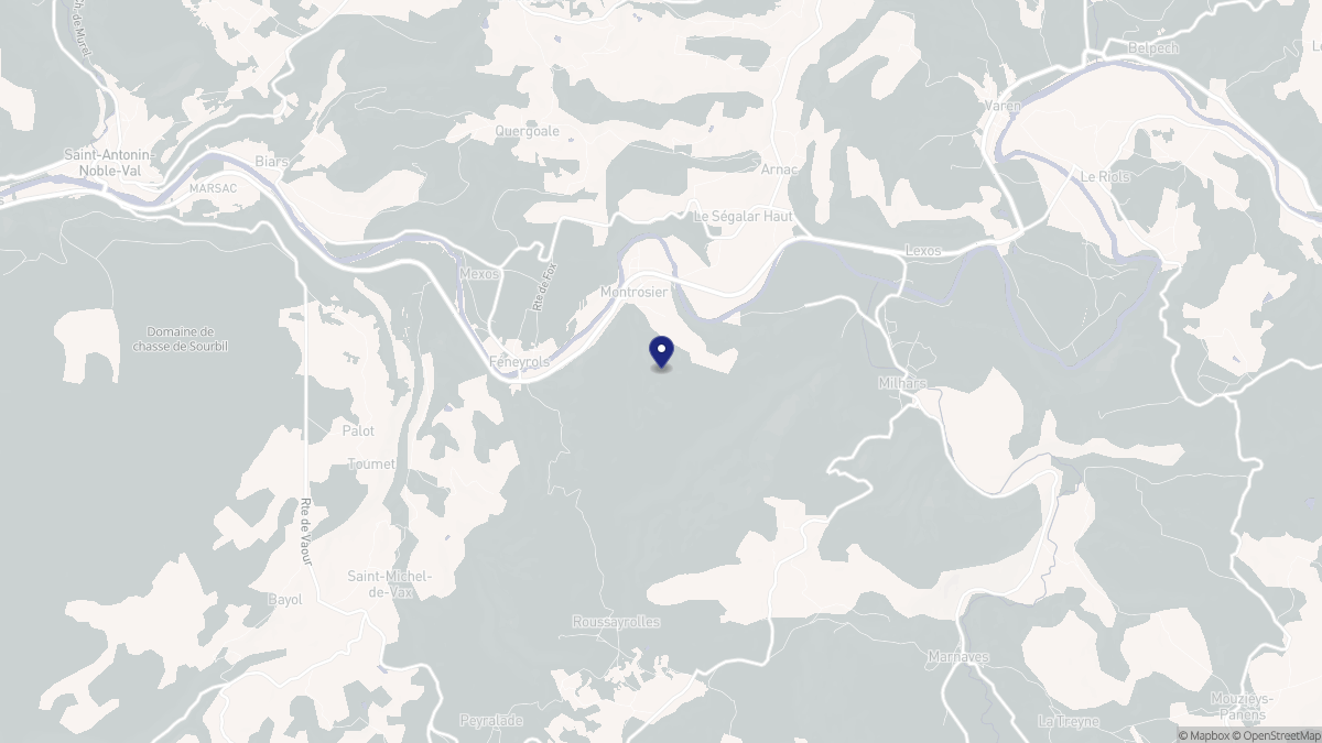 Aperçu cartographique de Montrosier, centré sur la commune