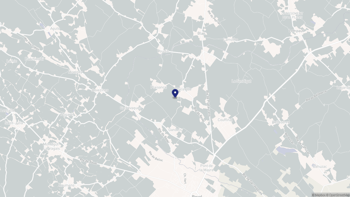 Aperçu cartographique de Palleville, centré sur la commune