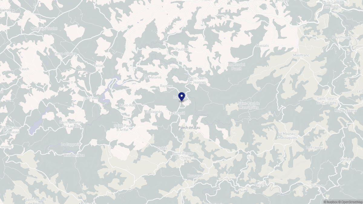 Aperçu cartographique de Rayssac, centré sur la commune