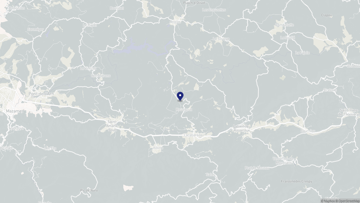 Aperçu cartographique de Rouairoux, centré sur la commune