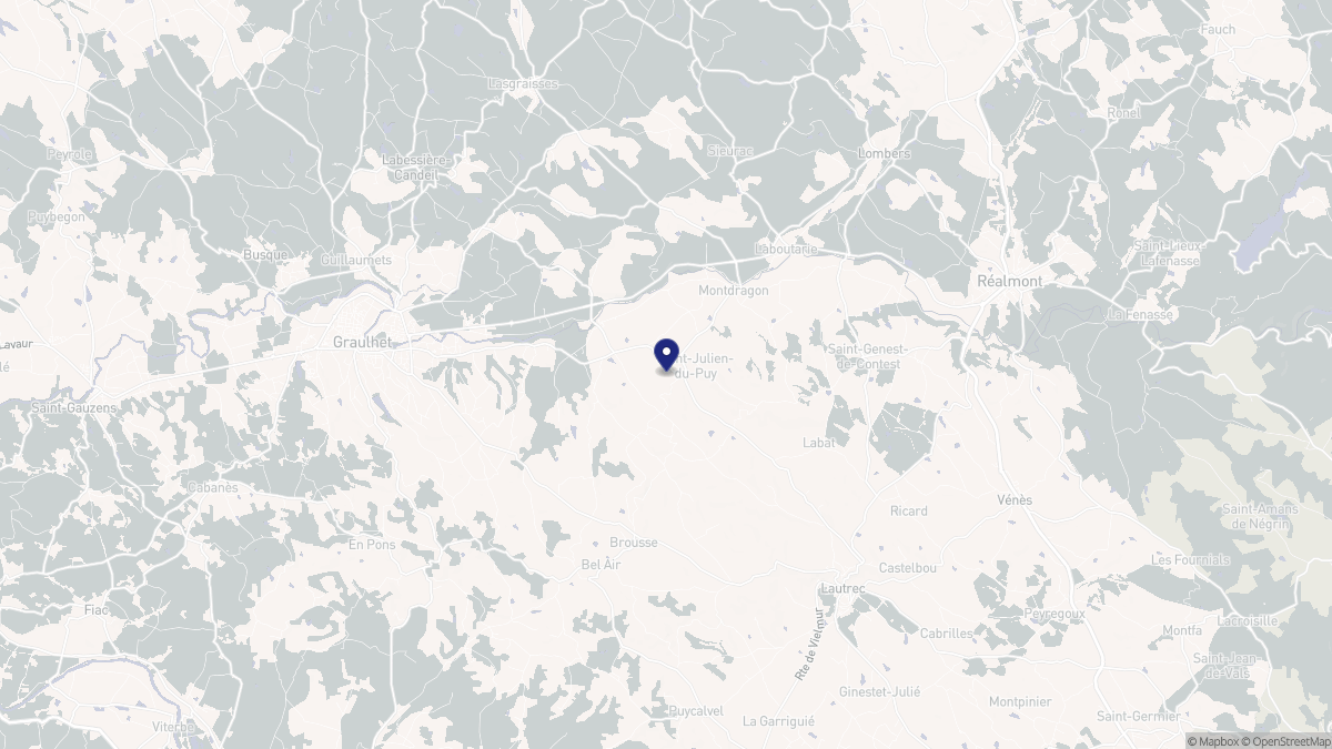 Aperçu cartographique de Saint-Julien-du-Puy, centré sur la commune