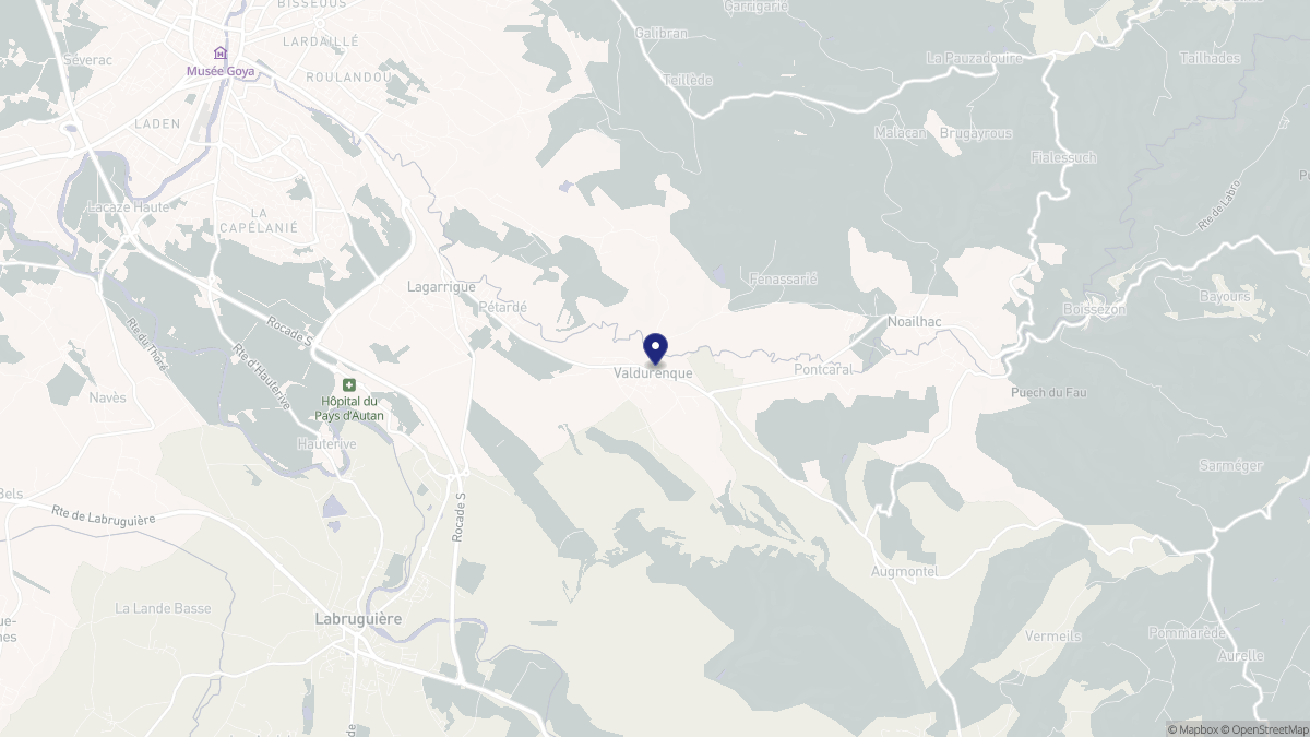Aperçu cartographique de Valdurenque, centré sur la commune