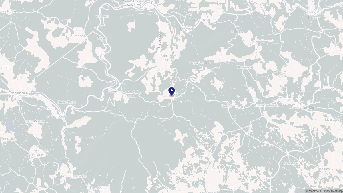 Aperçu cartographique de Vaour, centré sur la commune