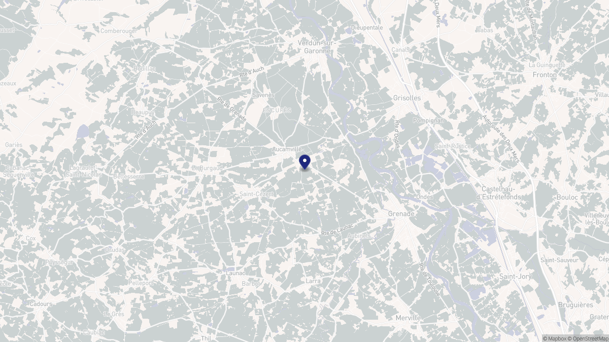 Aperçu cartographique de Aucamville, centré sur la commune