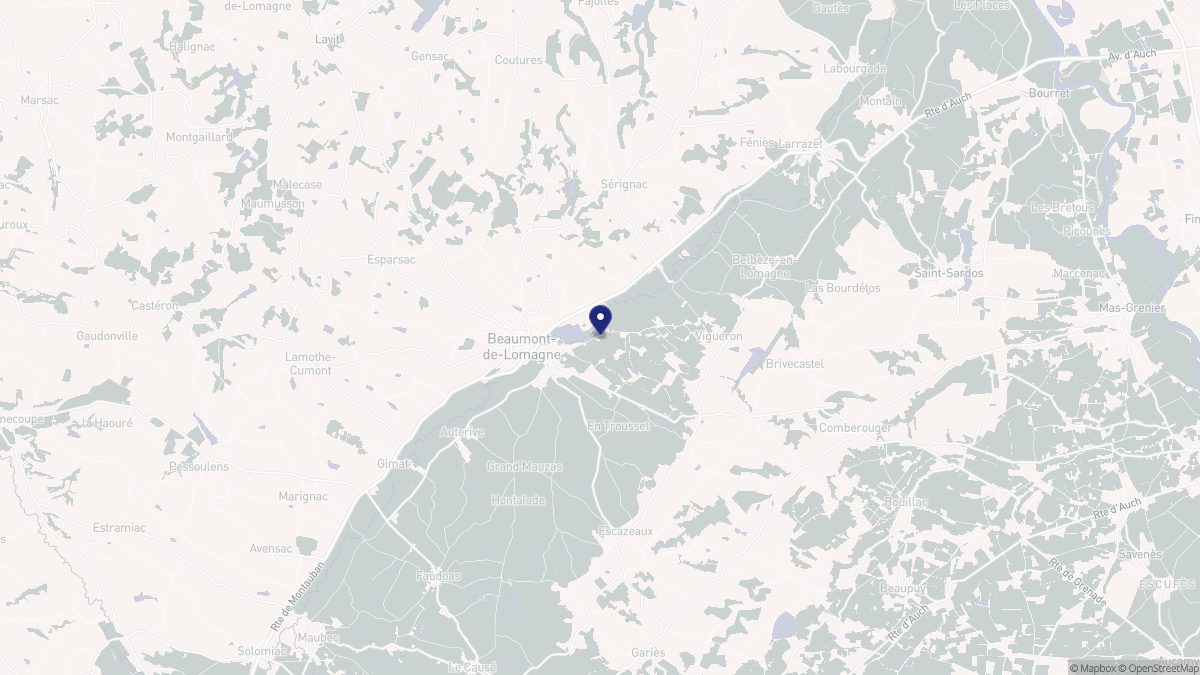 Aperçu cartographique de Beaumont-de-Lomagne, centré sur la commune