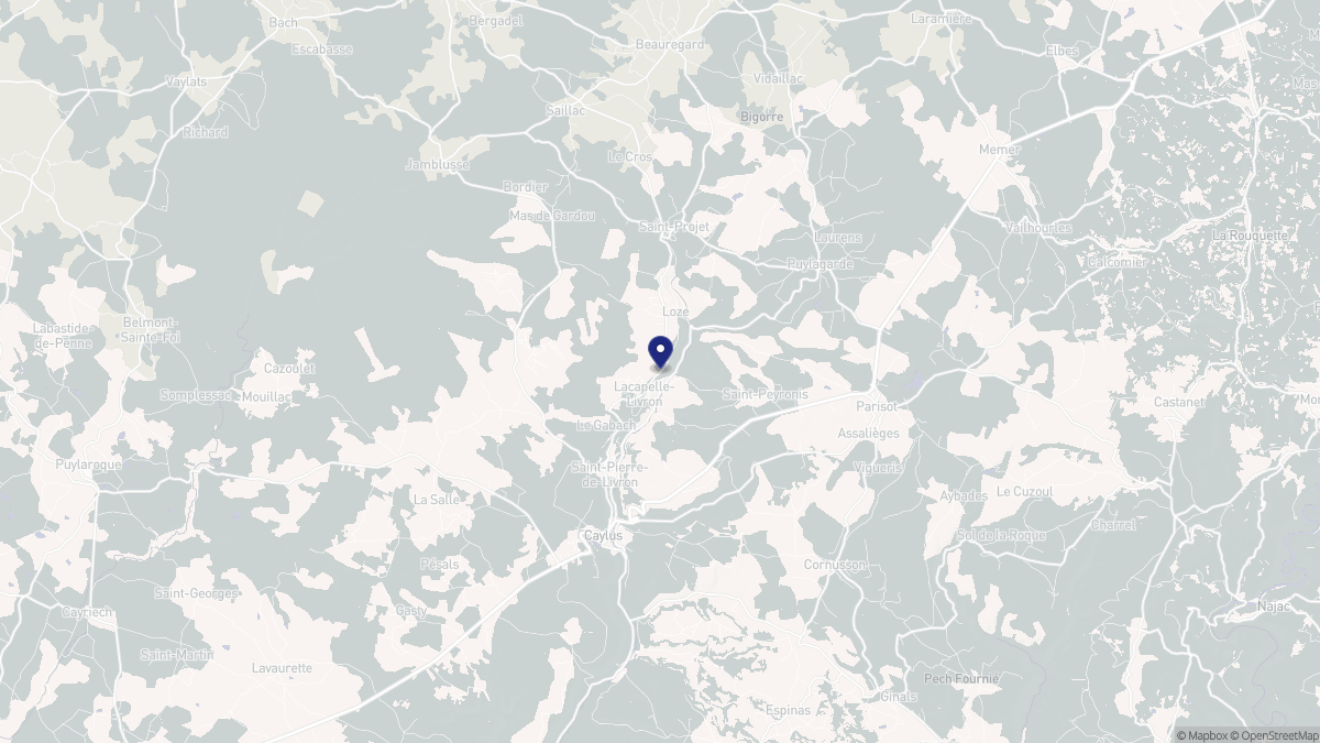 Aperçu cartographique de Lacapelle-Livron, centré sur la commune
