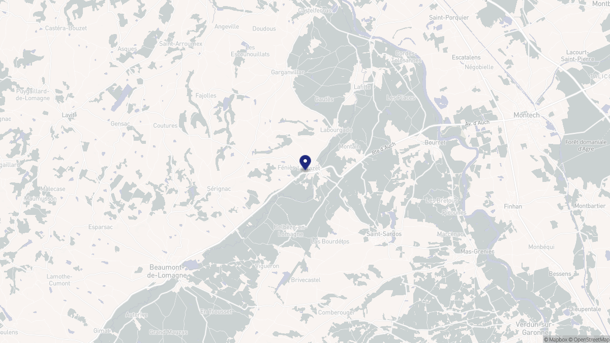 Aperçu cartographique de Larrazet, centré sur la commune