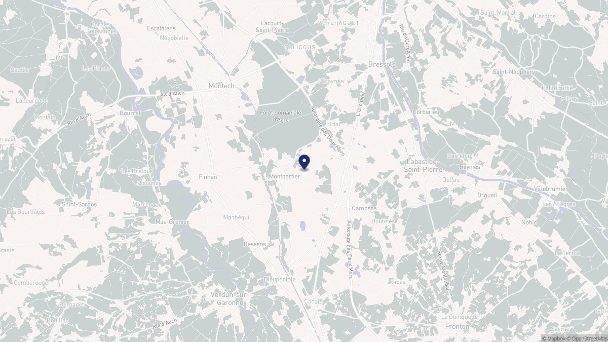Aperçu cartographique de Montbartier, centré sur la commune