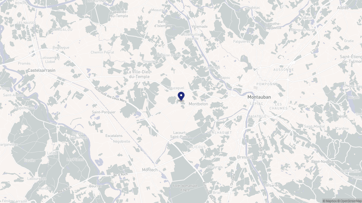 Aperçu cartographique de Montbeton, centré sur la commune