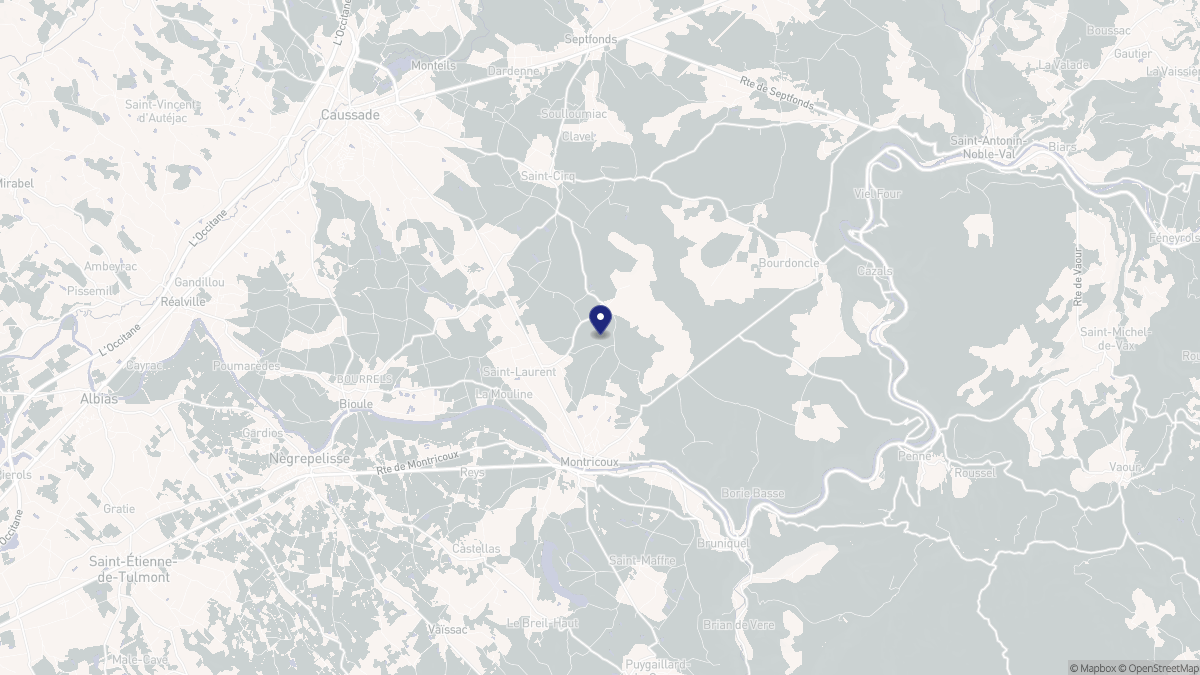 Aperçu cartographique de Montricoux, centré sur la commune