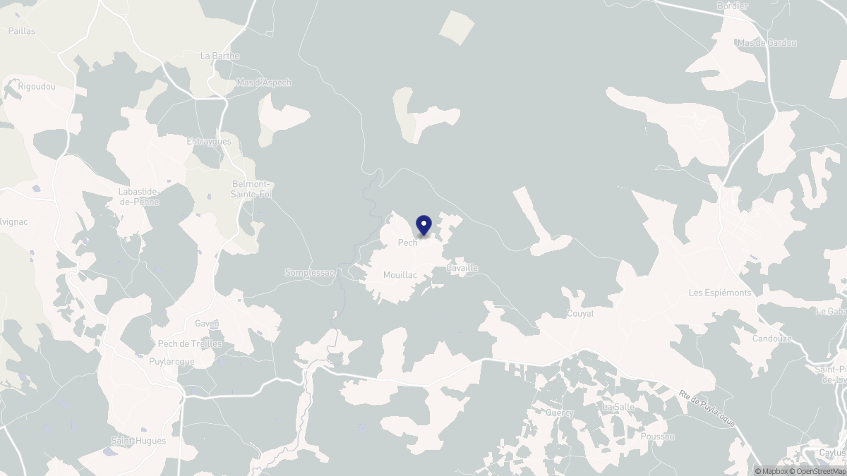 Aperçu cartographique de Mouillac, centré sur la commune
