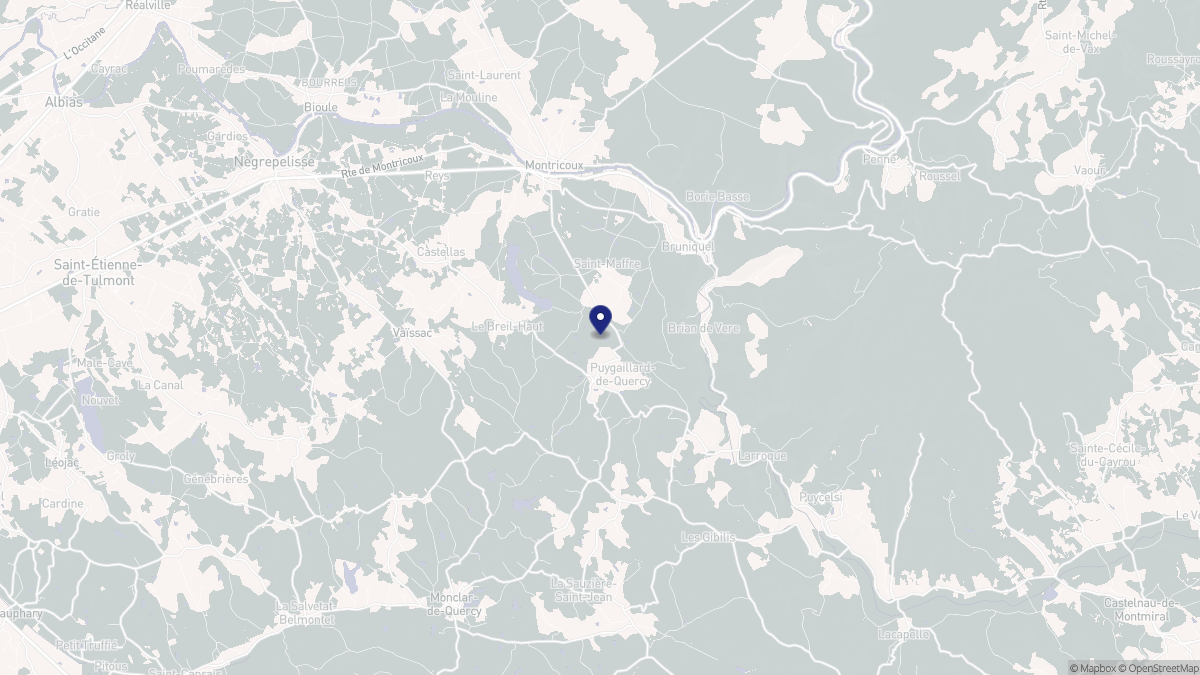 Aperçu cartographique de Puygaillard-de-Quercy, centré sur la commune