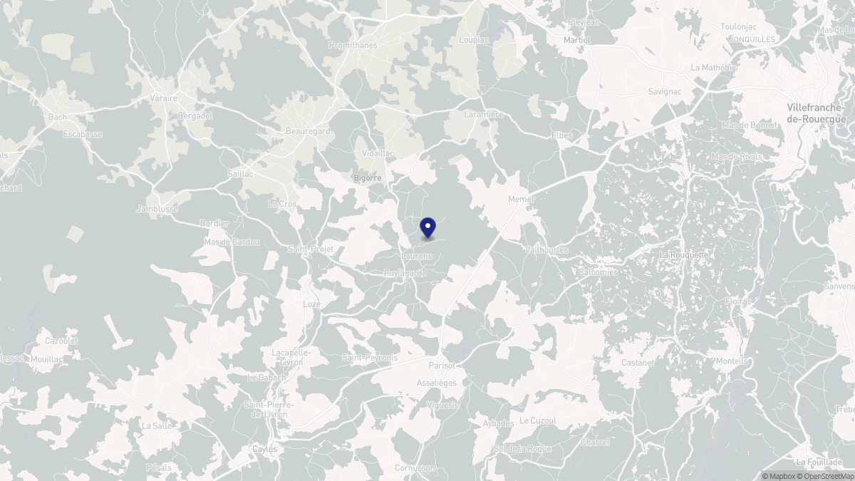 Aperçu cartographique de Puylagarde, centré sur la commune