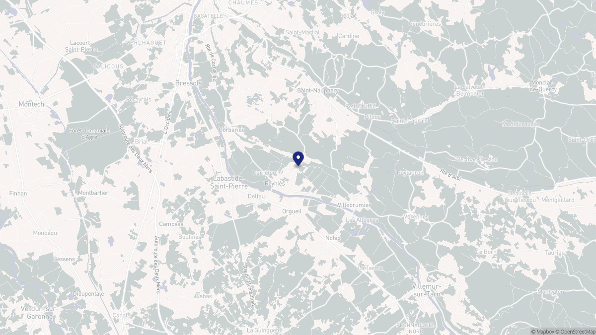 Aperçu cartographique de Reyniès, centré sur la commune