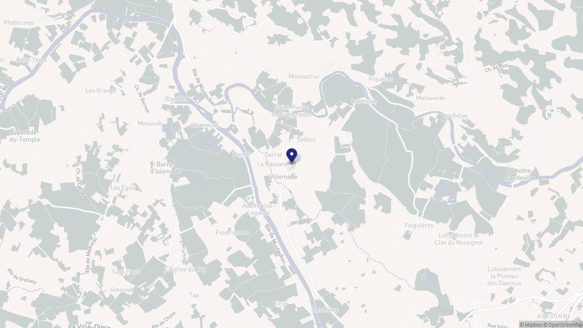 Aperçu cartographique de Villemade, centré sur la commune