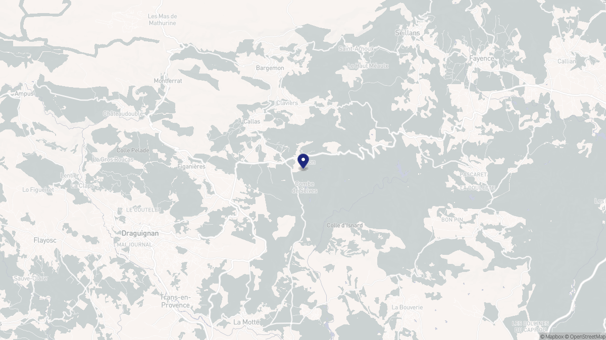 Aperçu cartographique de Callas, centré sur la commune