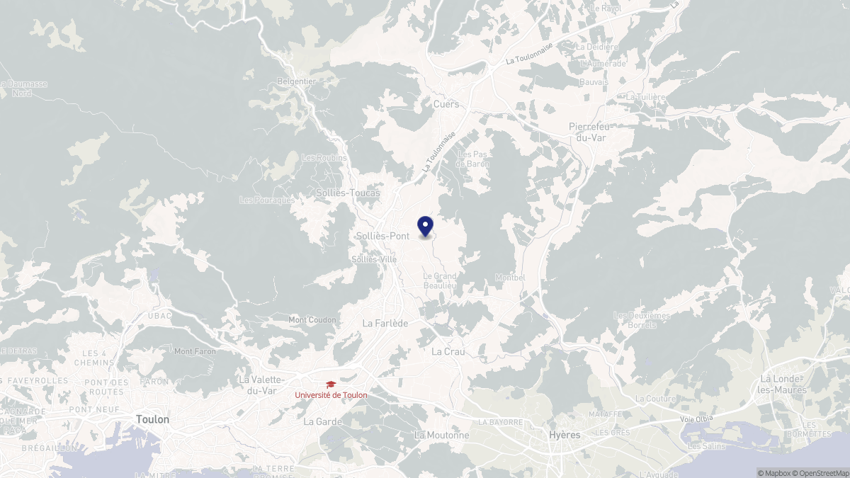 Aperçu cartographique de Solliès-Pont, centré sur la commune