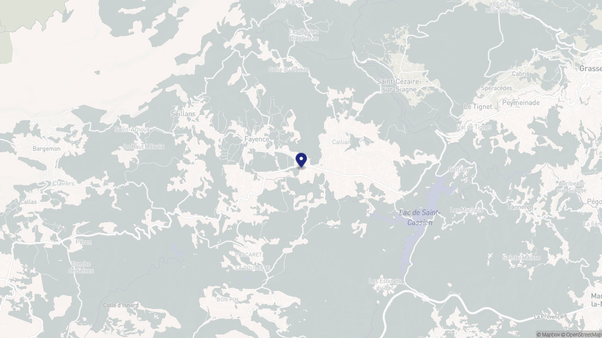 Aperçu cartographique de Tourrettes, centré sur la commune