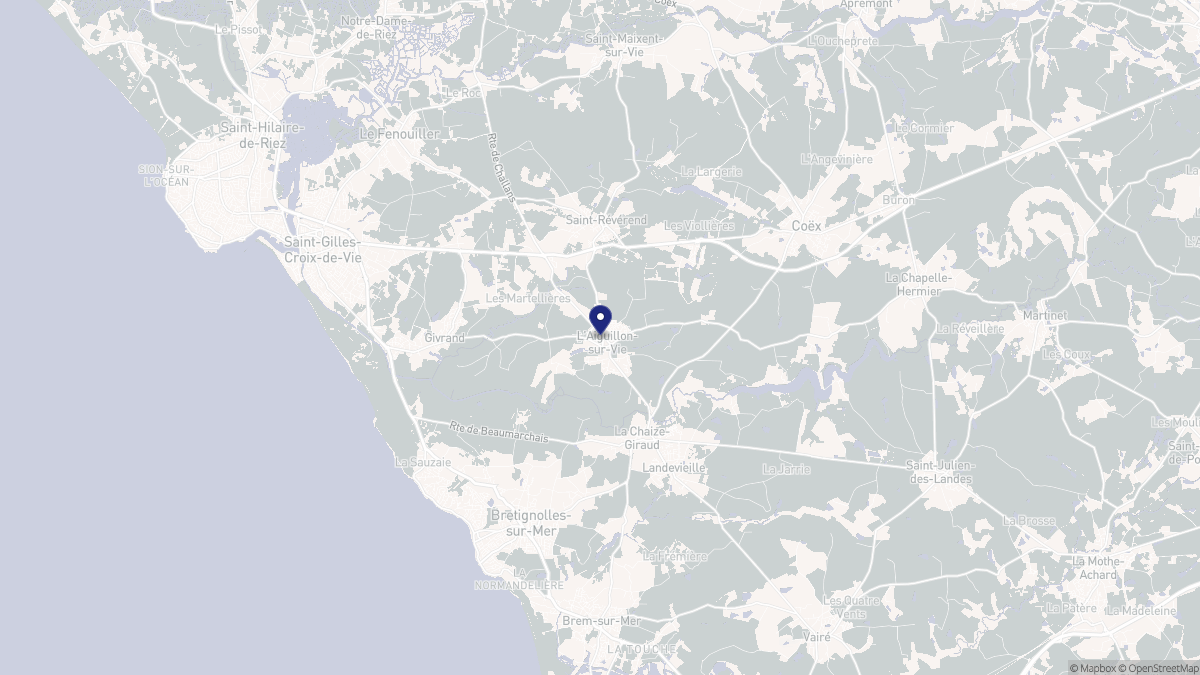 Aperçu cartographique de L'Aiguillon-sur-Vie, centré sur la commune