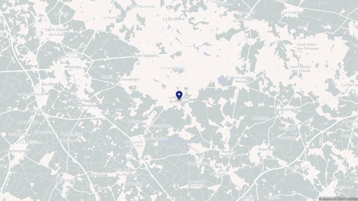 Aperçu cartographique de La Boissière-de-Montaigu, centré sur la commune