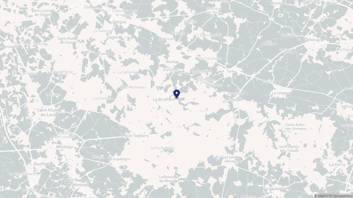 Aperçu cartographique de La Bruffière, centré sur la commune