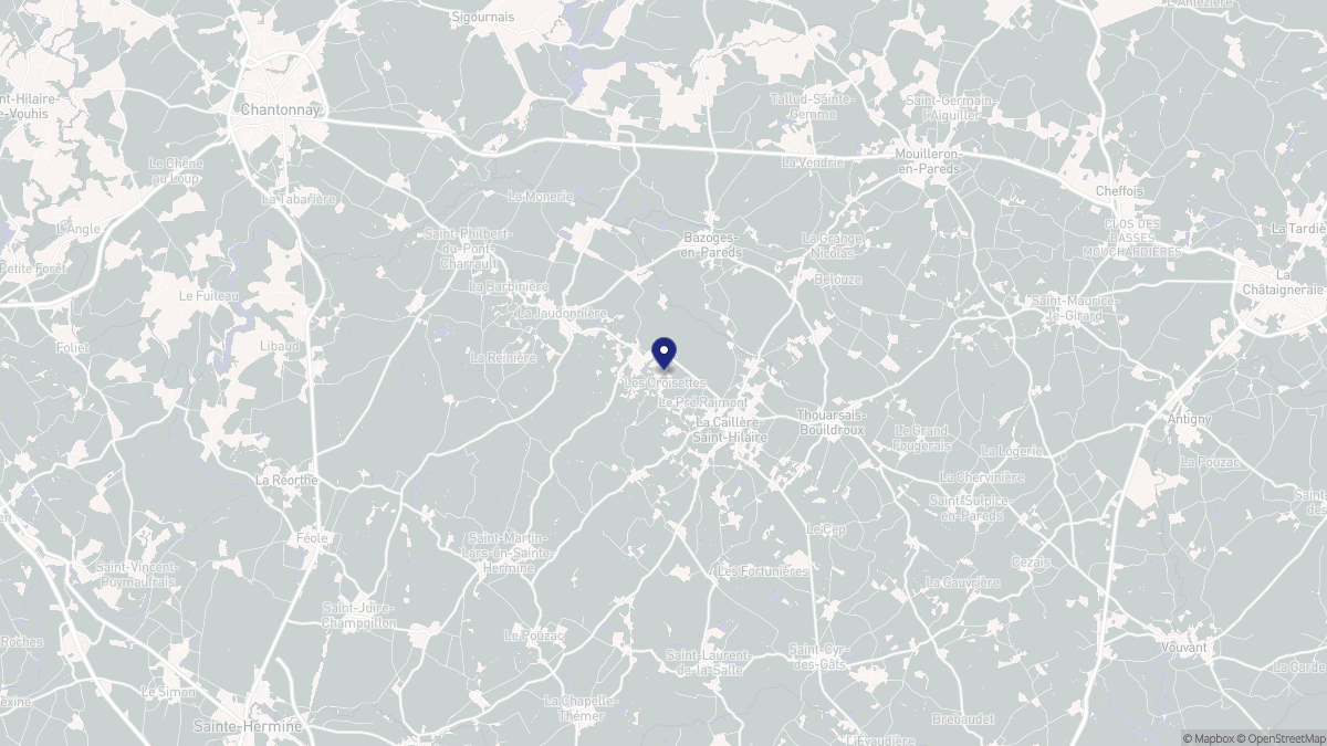 Aperçu cartographique de La Caillère-Saint-Hilaire, centré sur la commune