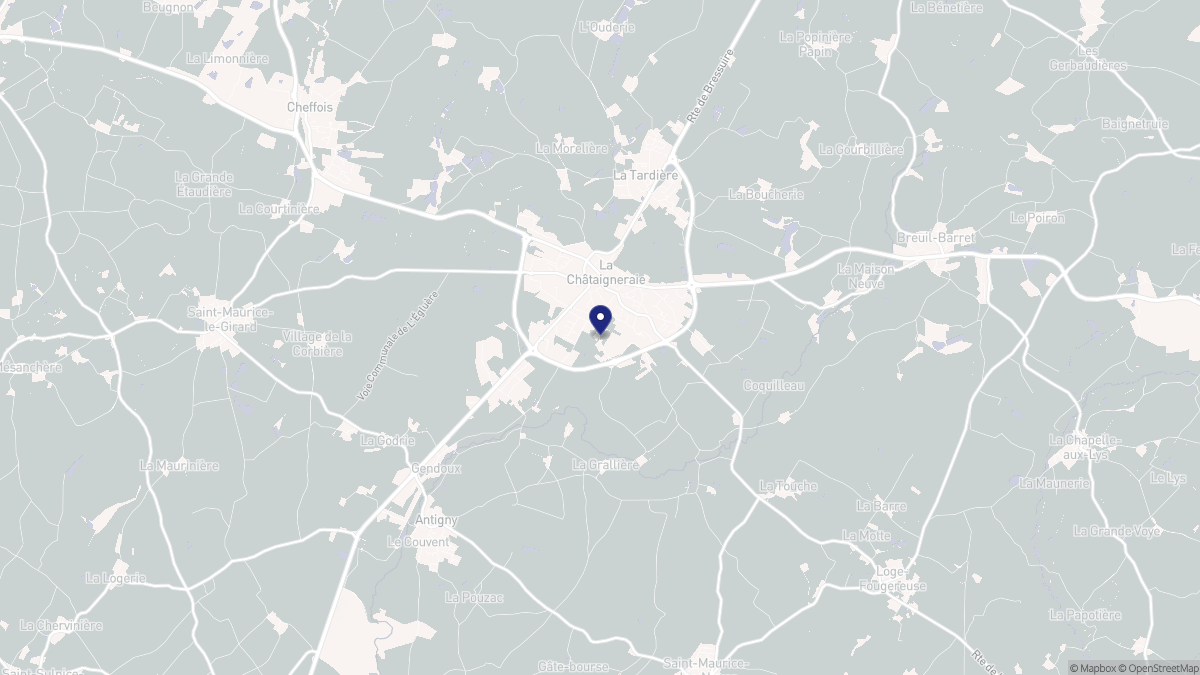 Aperçu cartographique de La Châtaigneraie, centré sur la commune