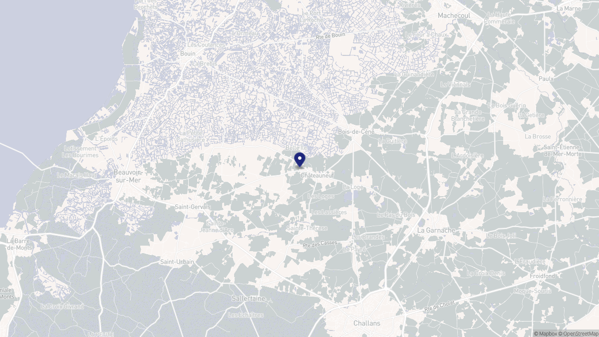 Aperçu cartographique de Châteauneuf, centré sur la commune