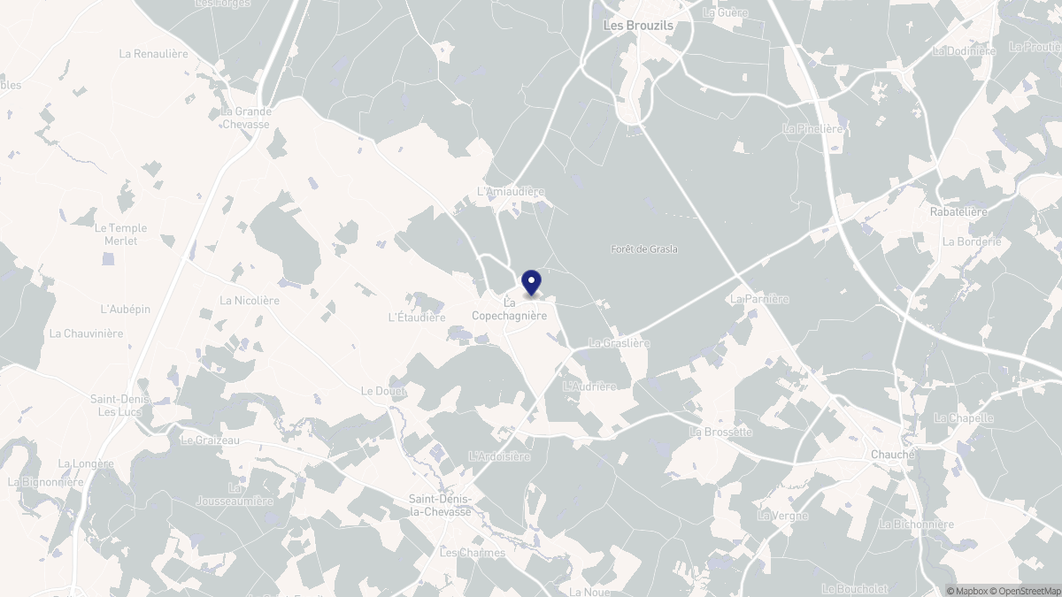 Aperçu cartographique de La Copechagnière, centré sur la commune