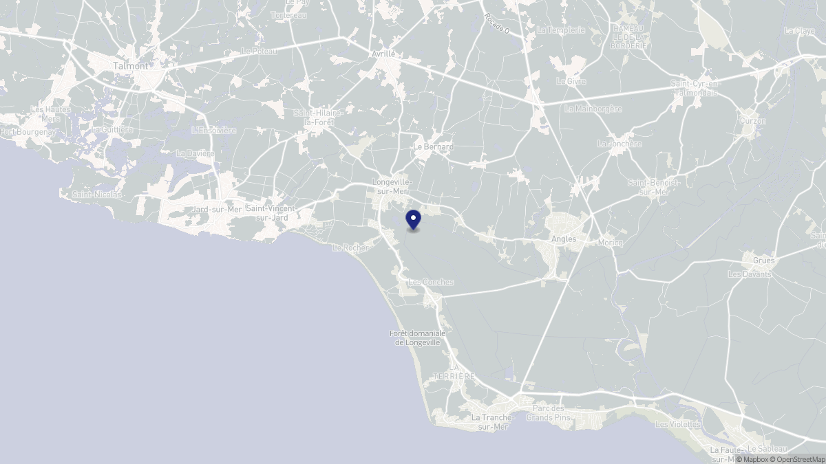 Aperçu cartographique de Longeville-sur-Mer, centré sur la commune