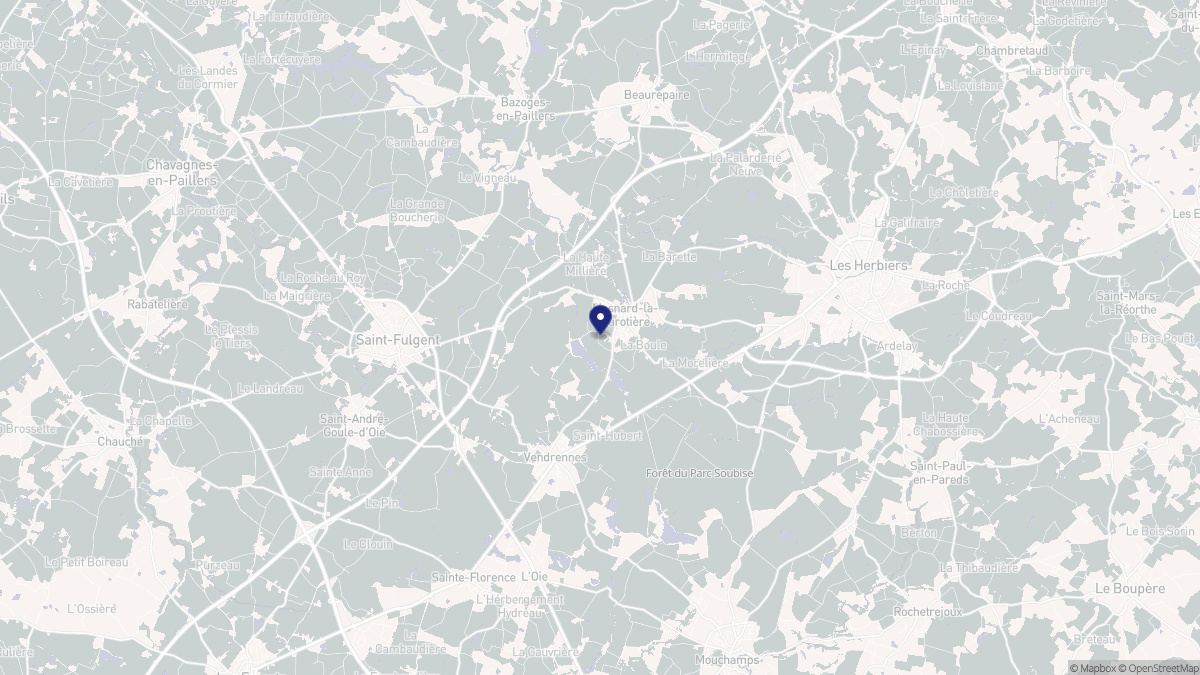 Aperçu cartographique de Mesnard-la-Barotière, centré sur la commune