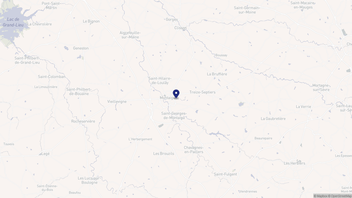 Aperçu cartographique de Montaigu-Vendée, centré sur la commune