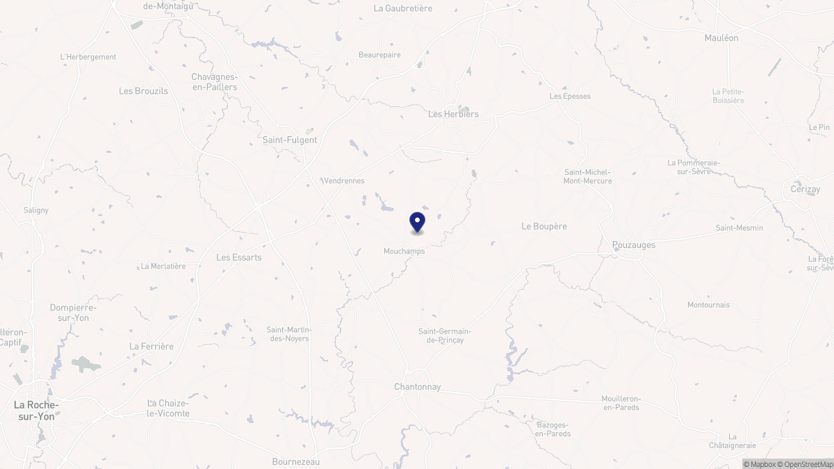 Aperçu cartographique de Mouchamps, centré sur la commune