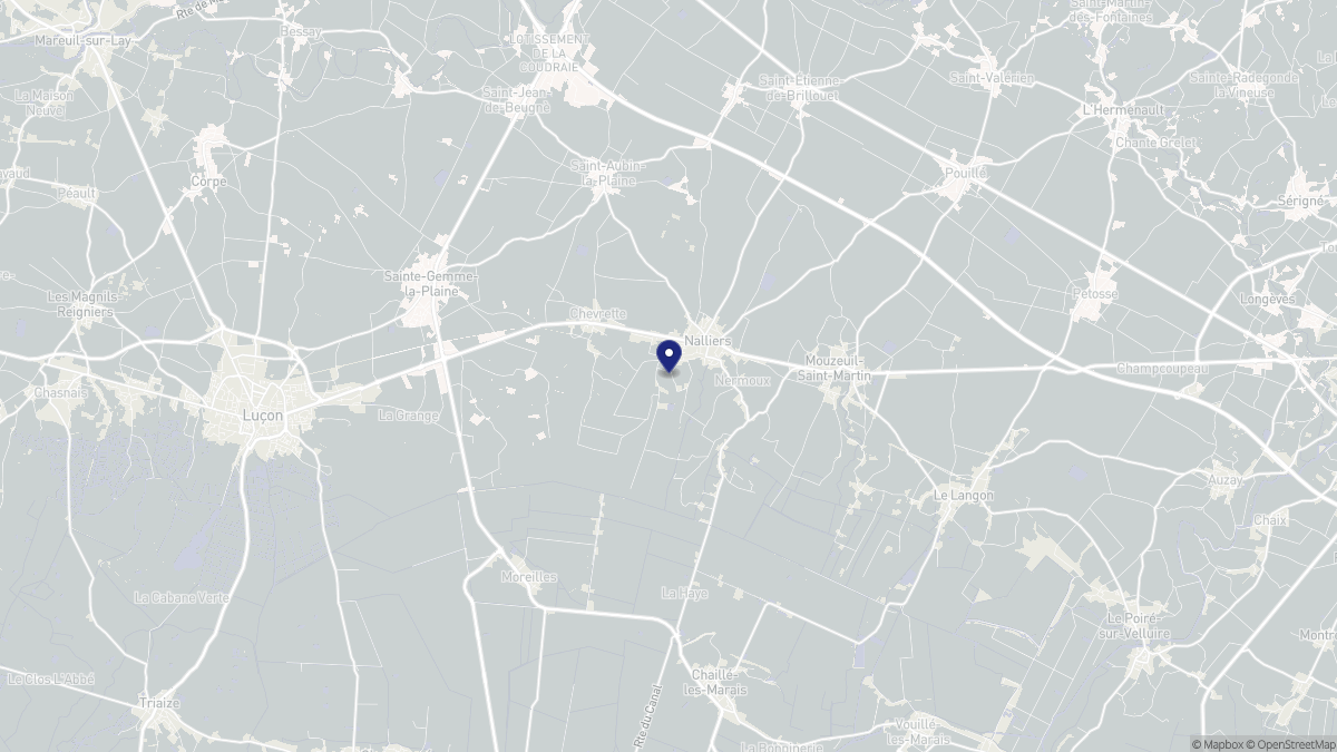 Aperçu cartographique de Nalliers, centré sur la commune