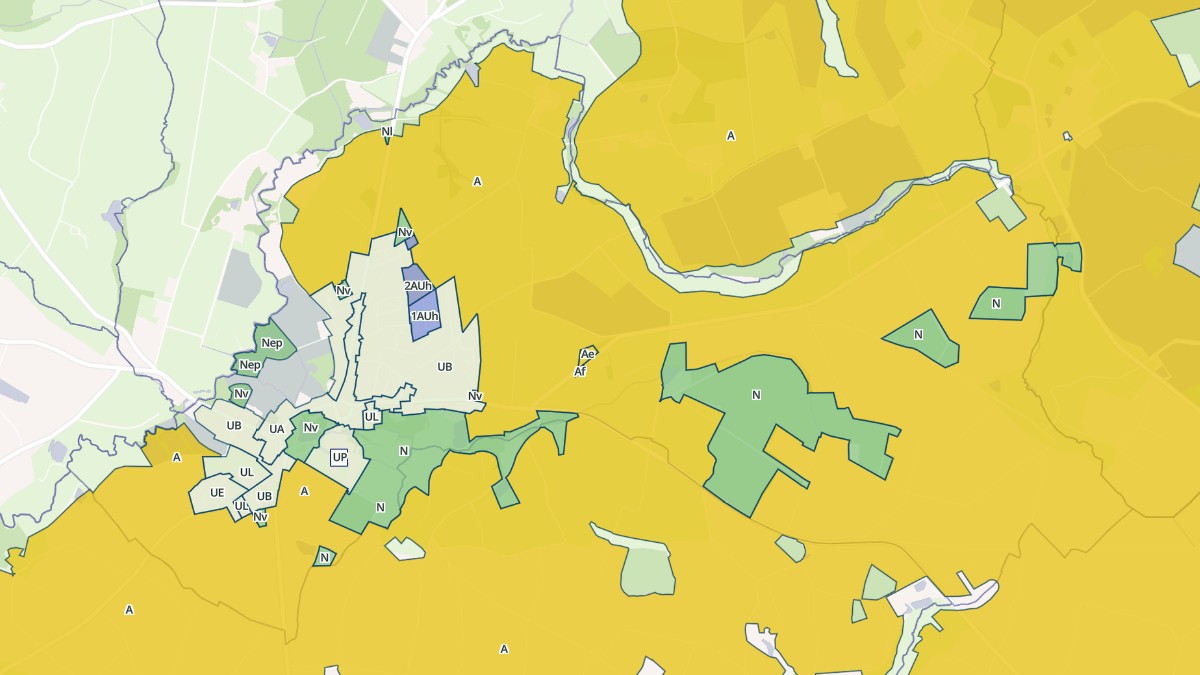 Aperçu cartographique de Palluau, centré sur la commune