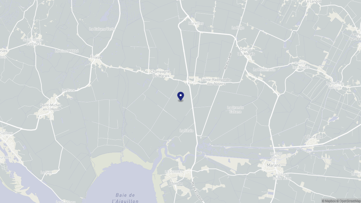 Aperçu cartographique de Puyravault, centré sur la commune