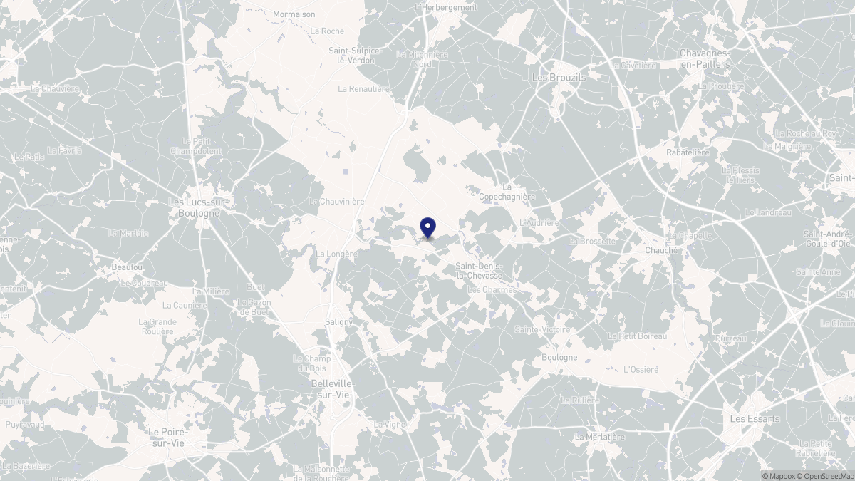 Aperçu cartographique de Saint-Denis-la-Chevasse, centré sur la commune