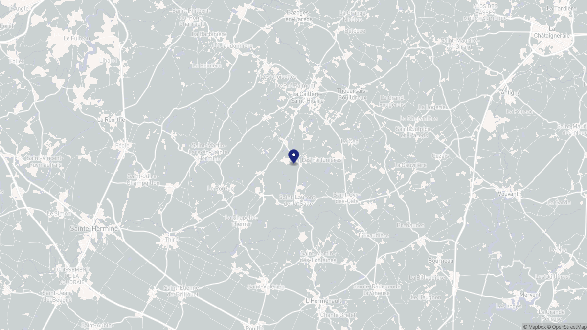 Aperçu cartographique de Saint-Laurent-de-la-Salle, centré sur la commune