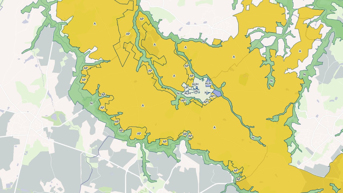 Aperçu cartographique de Saint-Martin-des-Tilleuls, centré sur la commune