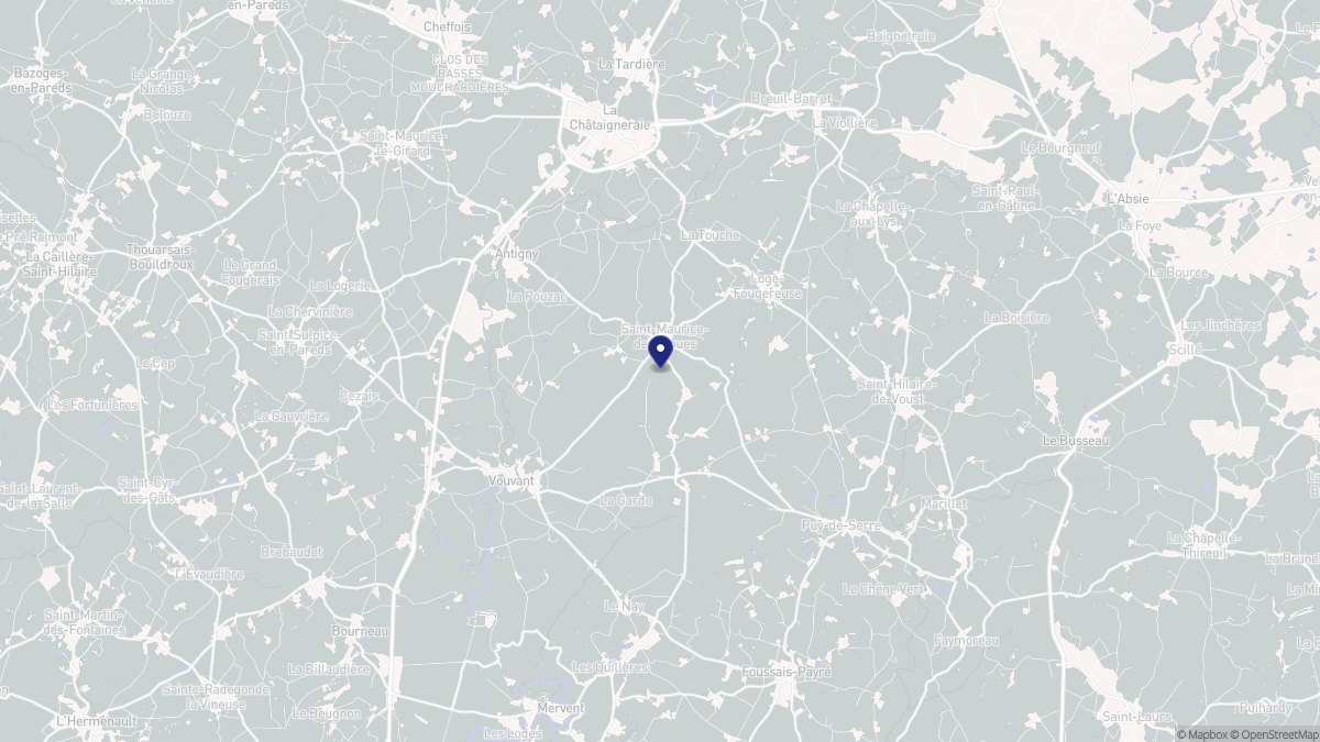 Aperçu cartographique de Saint-Maurice-des-Noues, centré sur la commune