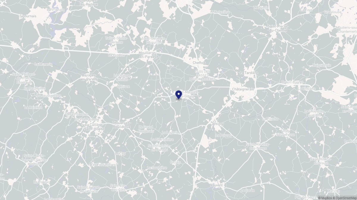 Aperçu cartographique de Saint-Maurice-le-Girard, centré sur la commune