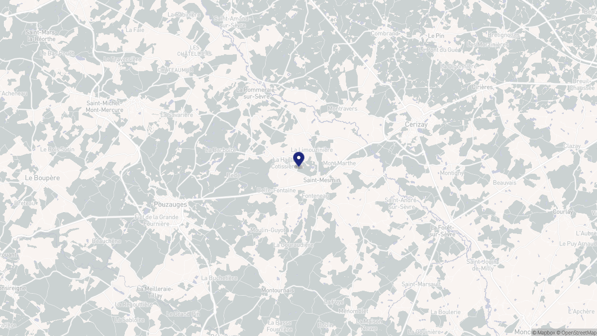 Aperçu cartographique de Saint-Mesmin, centré sur la commune