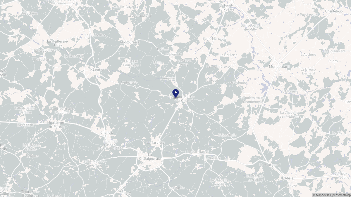 Aperçu cartographique de Saint-Pierre-du-Chemin, centré sur la commune