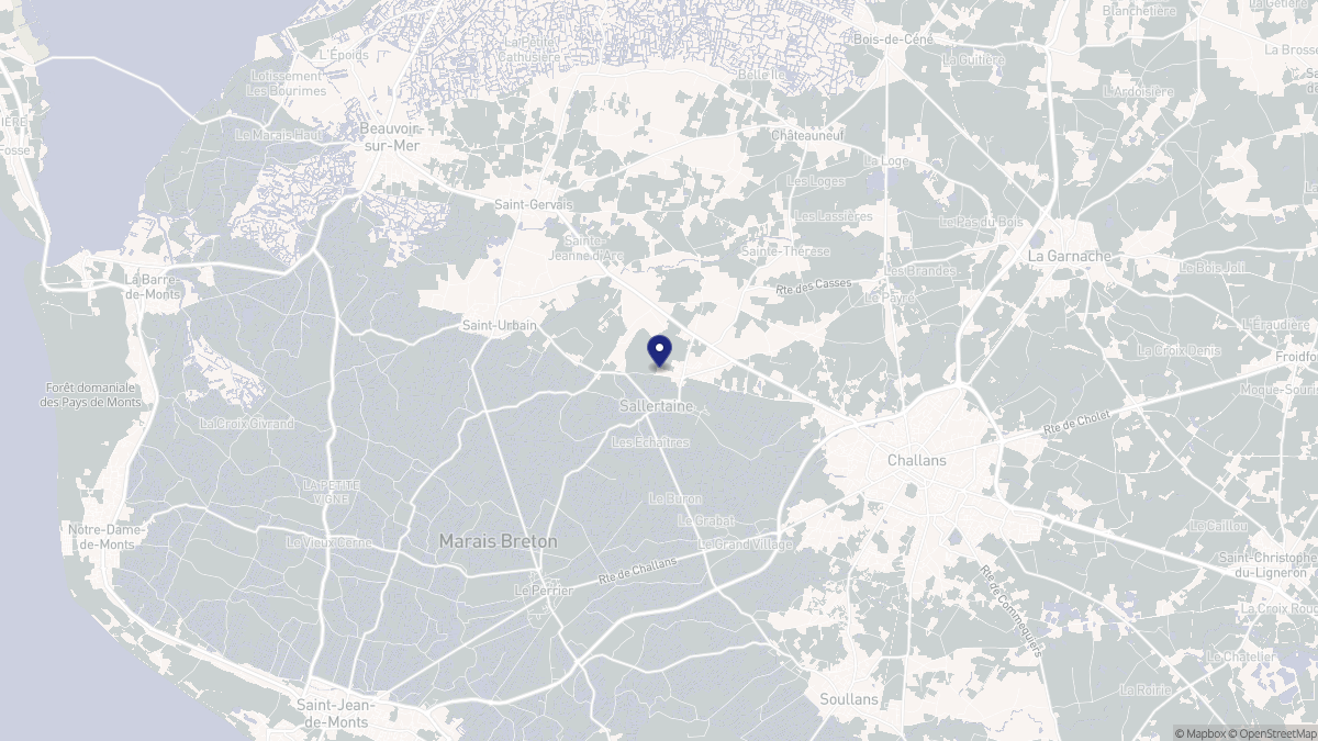 Aperçu cartographique de Sallertaine, centré sur la commune