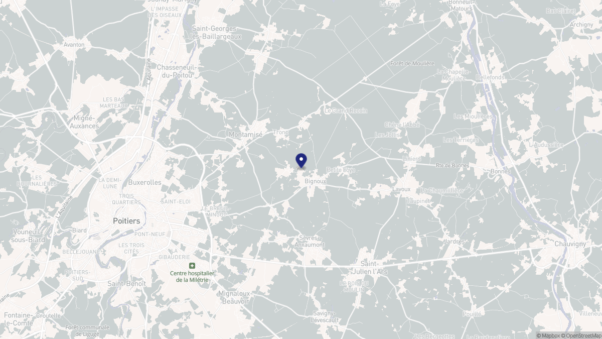 Aperçu cartographique de Bignoux, centré sur la commune