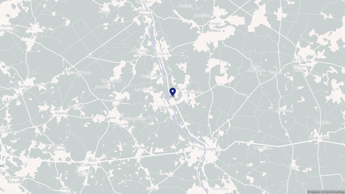Aperçu cartographique de Bonnes, centré sur la commune